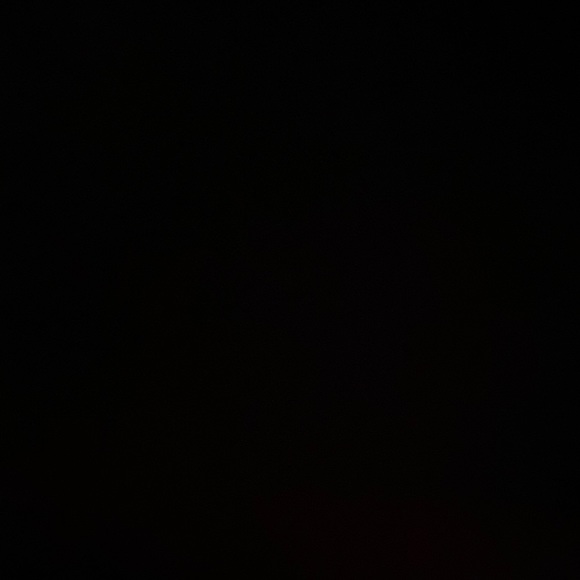 Meet your Posher, Serena - Picture 1 of 1